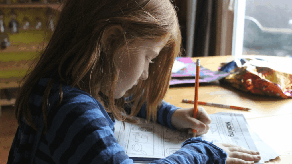 consolidation and differentiation in learning