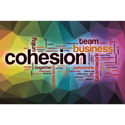 cohesion in writing